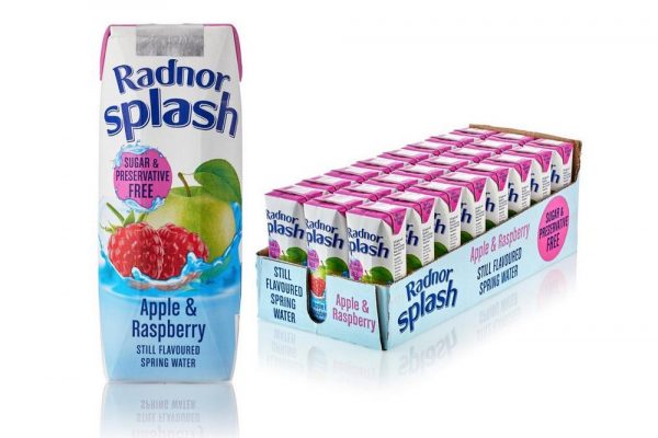 Radnor Splash Apple & Raspberry Still Spring Water 250ml - Box of 24