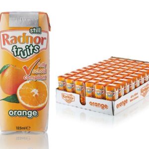 Radnor Fruits Still Orange Tetra Cartons 125ml - Box of 60